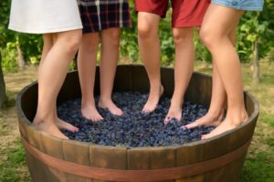 Wo kann man in Deutschland noch traditionell barfuß Trauben stampfen wie früher