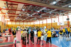 Frankfurter FamilienSportFest 2025: Aktivitäten, Anreise und alles, was Sie erwartet