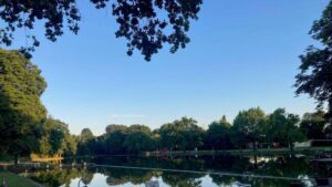 Blaualgen sorgen erneut für Sperrungen im Arheilger Mühlchen und an der Grube Prinz von Hessen