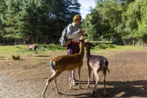 Zoo oder Wildpark? Die besten Ausflugsziele mit Tieren in Hessen