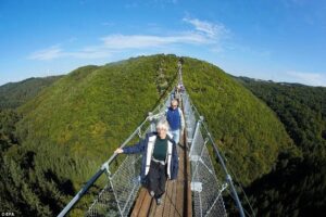Hoherodskopf H&auml;ngebr&uuml;cke im Vogelsberg: Familienausflug mit Aussicht