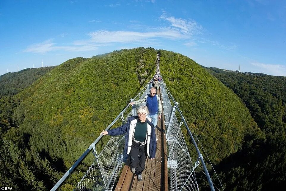 Hoherodskopf Hängebrücke im Vogelsberg: Familienausflug mit Aussicht