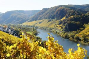 Mosel im Herbst erleben: Wein, Burgen und romantische Flusslandschaften