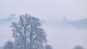 Wetterwende in Hessen: Temperaturen steigen auf bis zu 15 °C, bringen jedoch starkem Regen mit sich. Der DWD prognostiziert ab dem 7. Dezember wechselhaftes Wetter bis Dienstag.