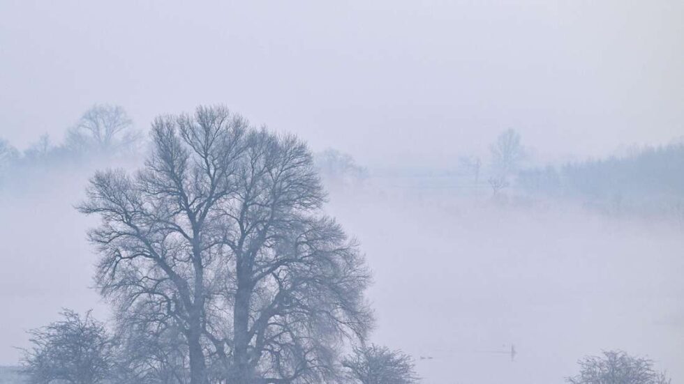 Wetterwende in Hessen: Temperaturen steigen auf bis zu 15 °C, bringen jedoch starkem Regen mit sich. Der DWD prognostiziert ab dem 7. Dezember wechselhaftes Wetter bis Dienstag.
